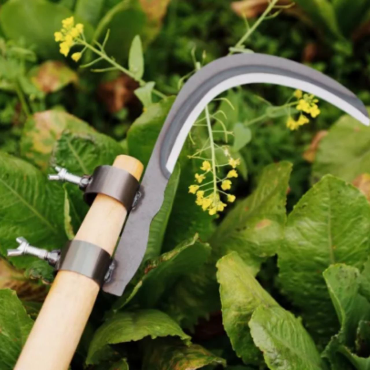 AgroTool, Ág-, Gyom-, Tüske- és Növényvágó - Image 9