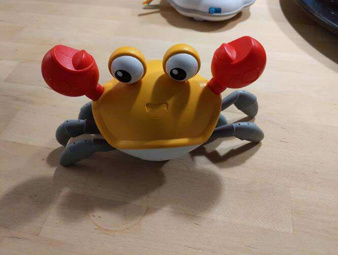 CrawlingCrab, egy interaktív rák, amely megmozdul, amikor közeledik valaki hozzá - Image 1