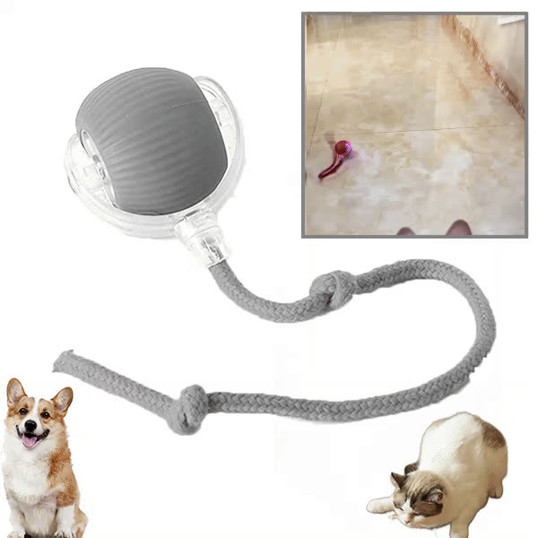 DOGTOY, ChewiePlay interaktív labda - video