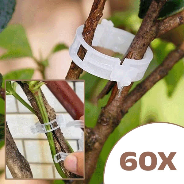 PLANTCLIP, GreenGrow Növénytartó - 60 Klipsz - video