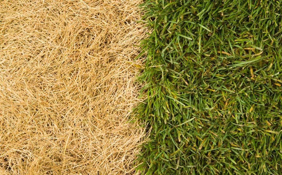 PlantPaper, az innovatív 3 az 1-ben műtrágyapapír - Image 9
