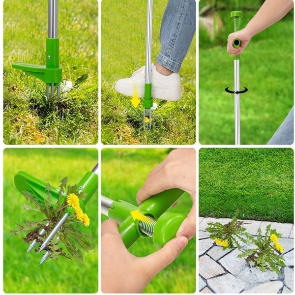 ROOTPULL, Rozsdamentes acél gyökéreltávolító - Image 6