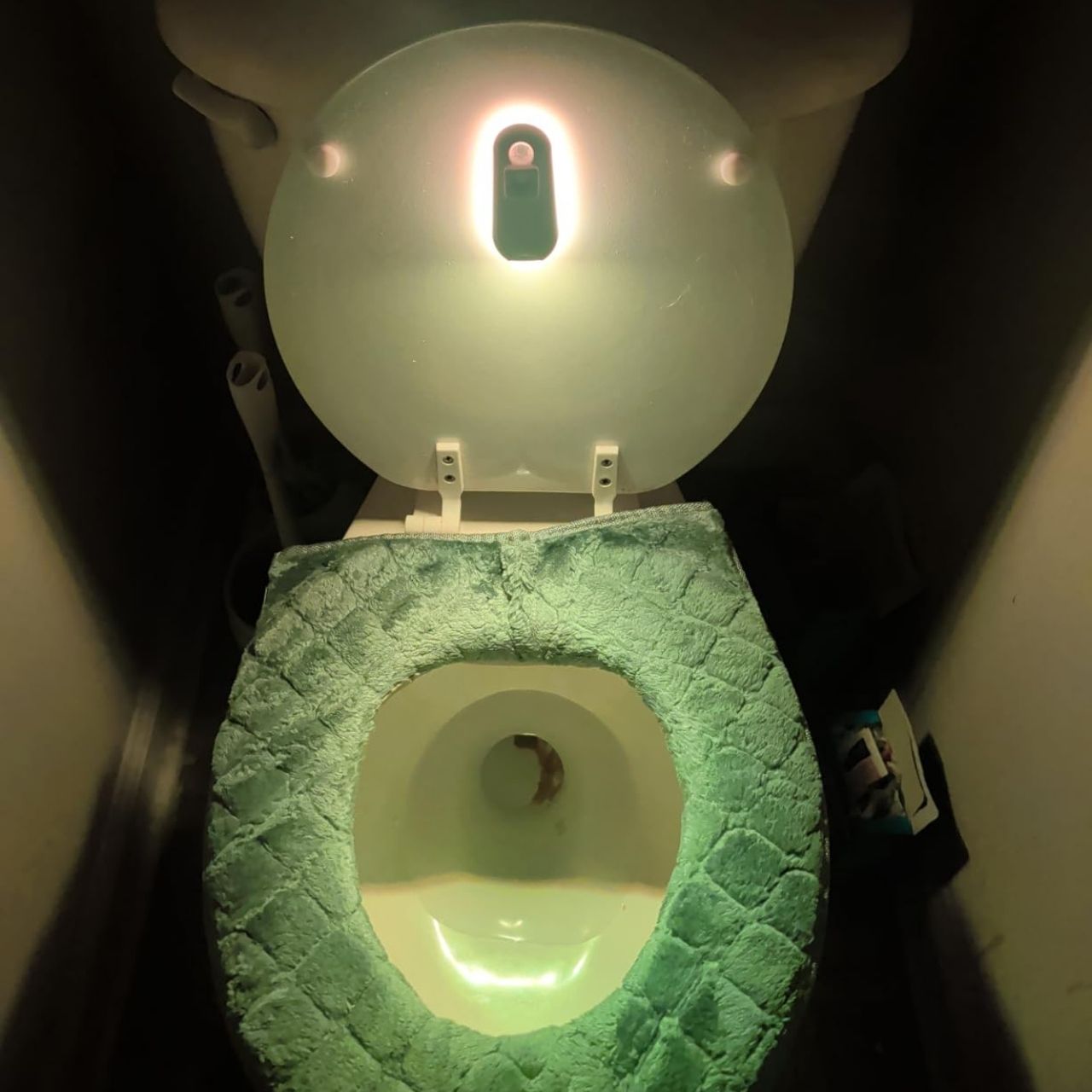 LED mozgásérzékelős lámpa WC-hez és otthonra, Toily - Image 7