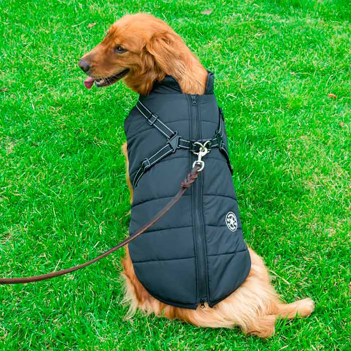 DogJacket, fényvisszaverő és vízálló télikabát kutyáknak - Image 10